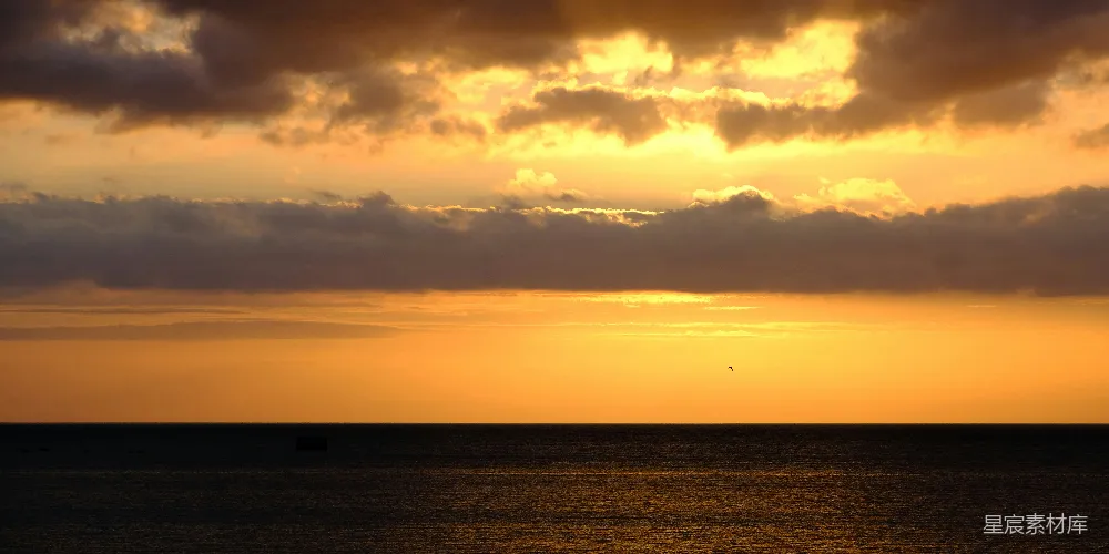 高清摄影 夕阳下海边站立的人的轮廓