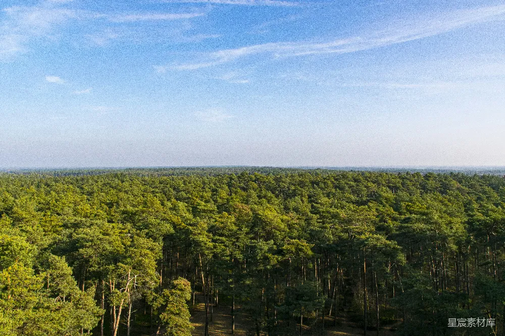 高清摄影 白天绿树蓝天间