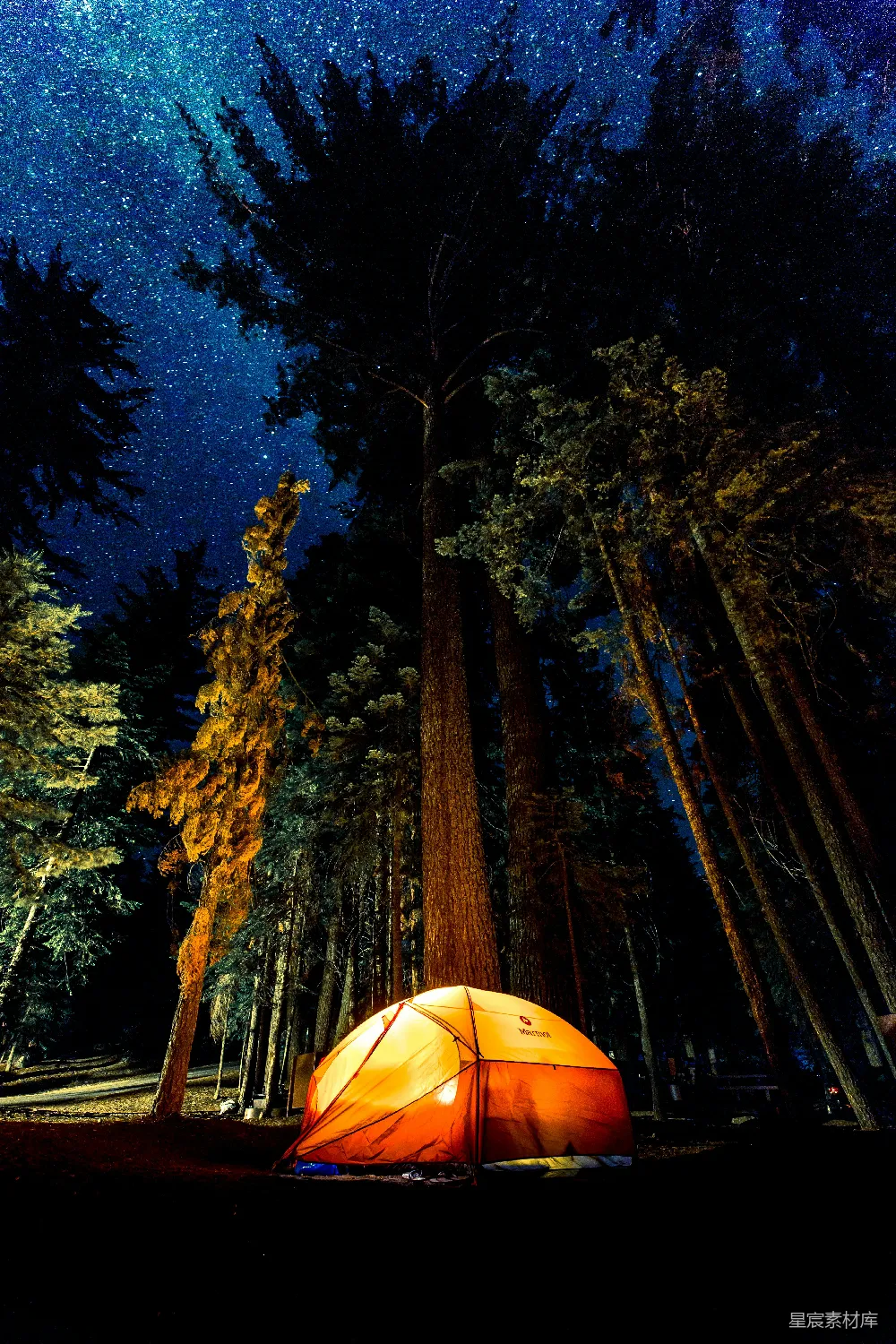 高清摄影 夜间在森林中露营