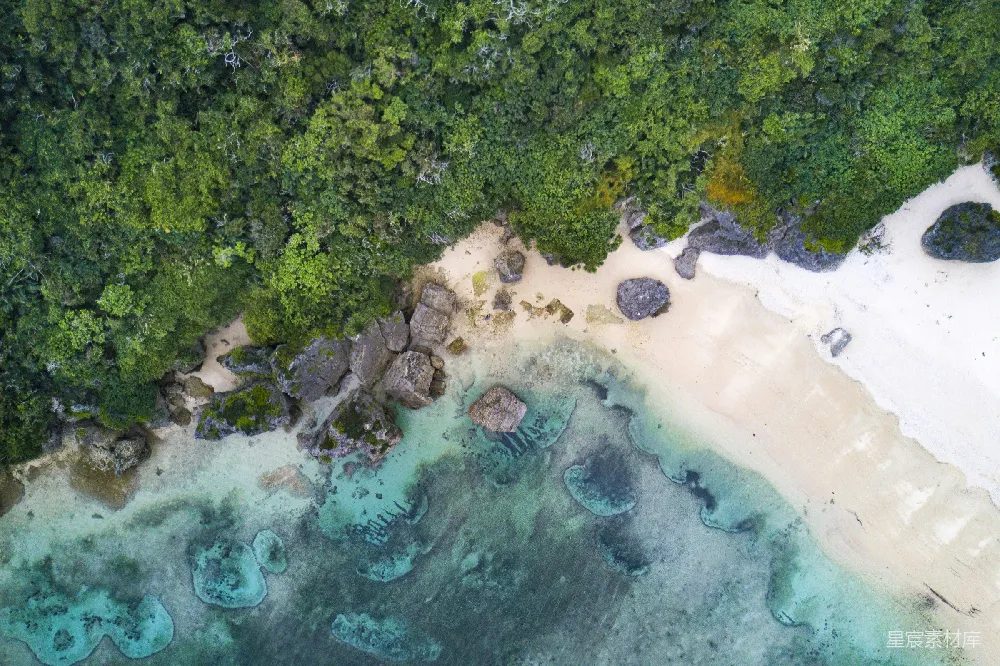 高清摄影 白天海景旁绿树的 aerial 拍摄
