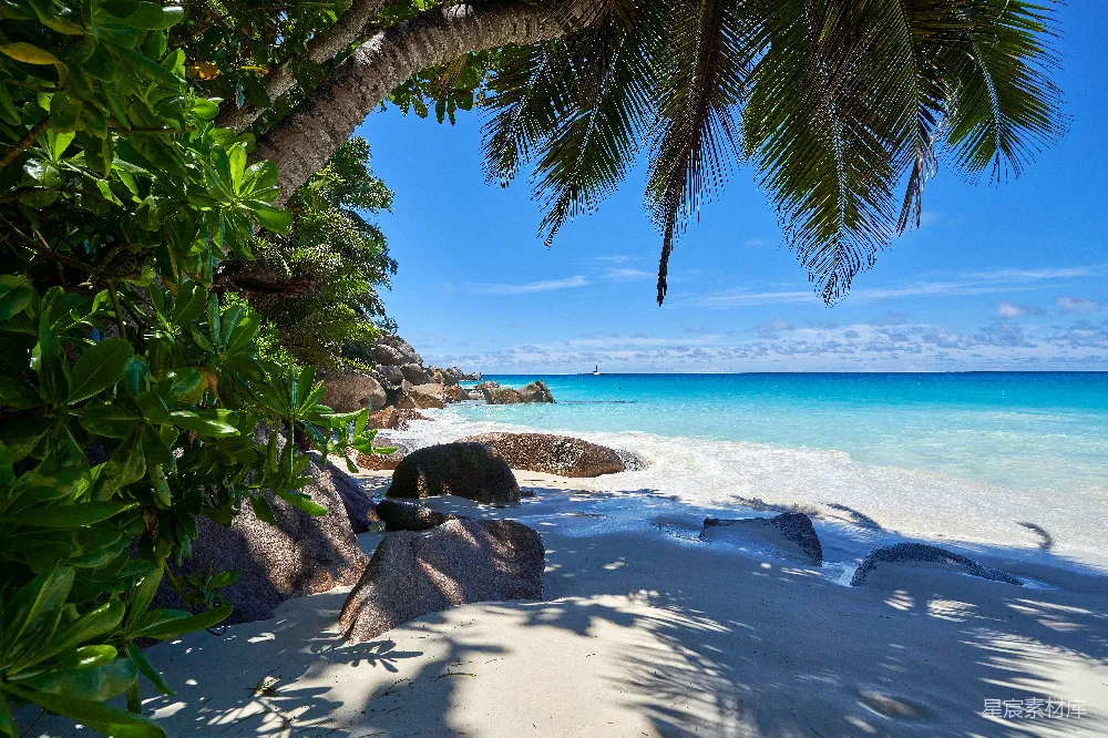 高清摄影 海浪在白天拍打海岸