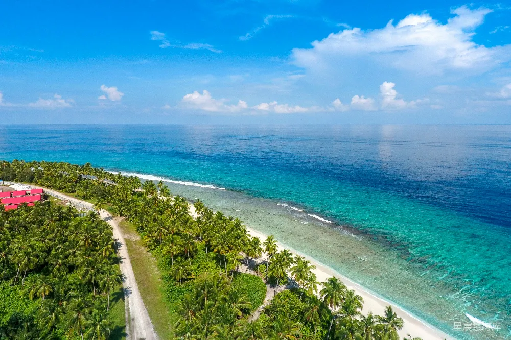 高清摄影  海边椰树的 aerial 视角