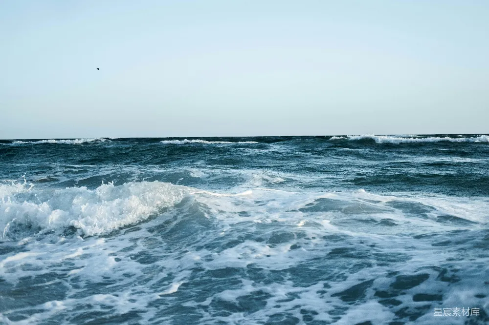 高清摄影  水面的波浪