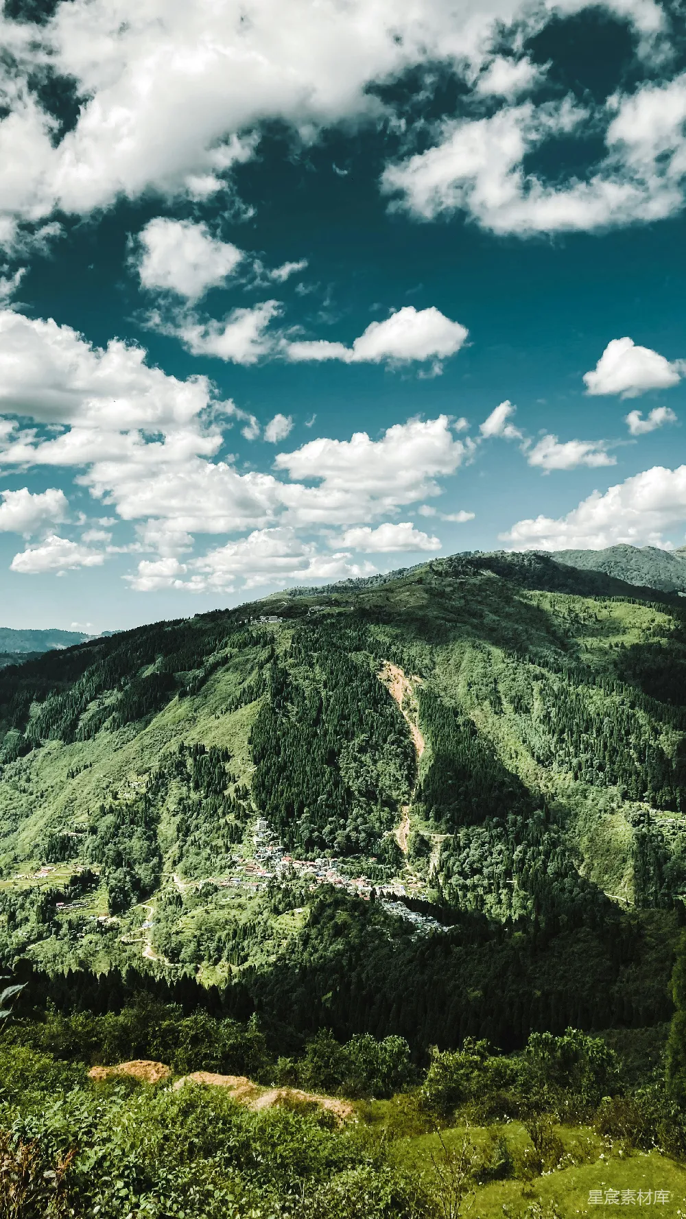 高清摄影  一片葱郁山坡的美景