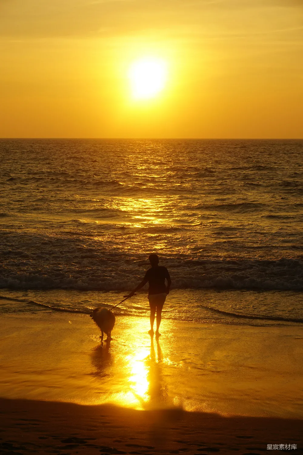 高清摄影 一个人在海滩上晒着夕阳，一条狗也在旁边。