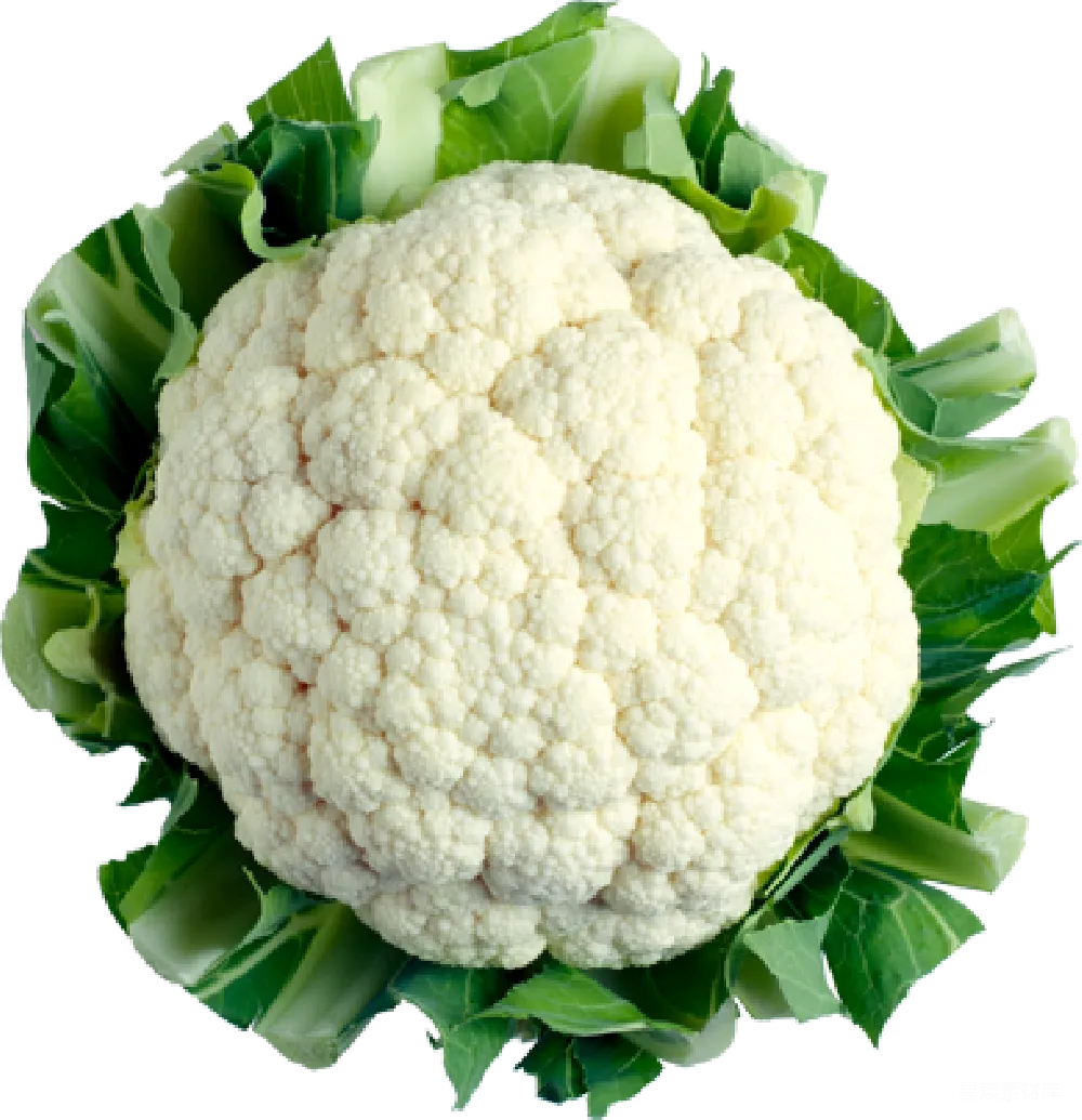 元素素材 元素 cauliflower