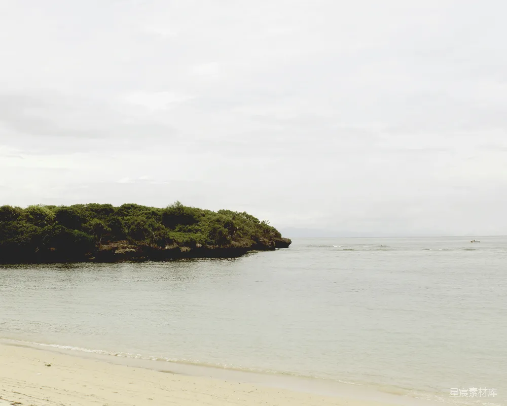 高清摄影 白天海边绿色和棕色岩石的形成场景