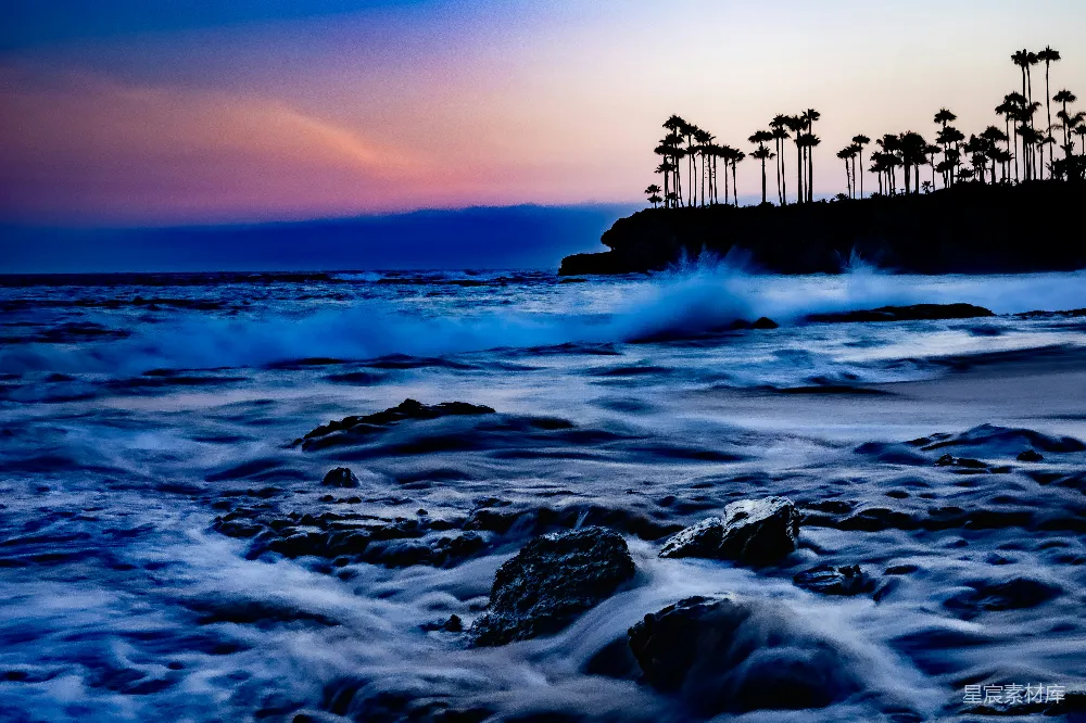 高清摄影  夕阳下的海洋景色，棕榈树在背景中。