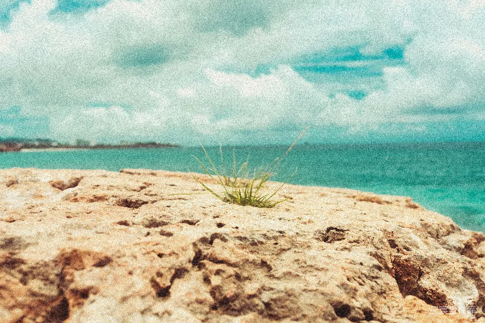 高清摄影 岩石突出处的海景
