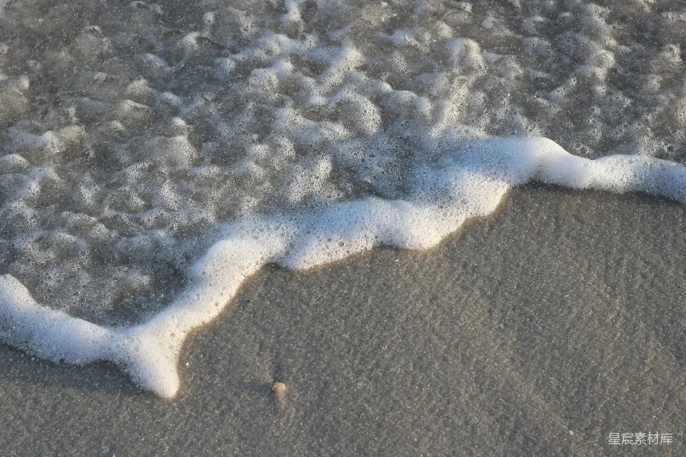 高清摄影 海滩上的白蛇