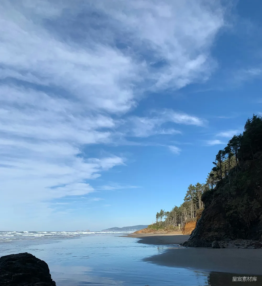 高清摄影 海边的一片景色，树木环绕，水波荡漾。