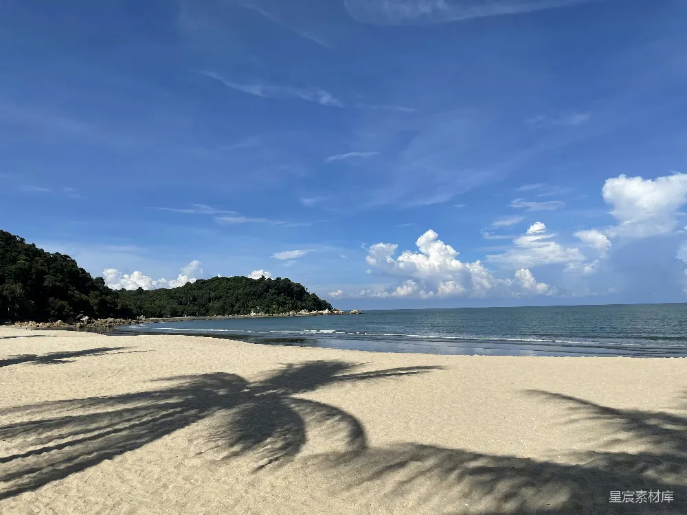 高清摄影 海滩上一棵棕榈树的影子