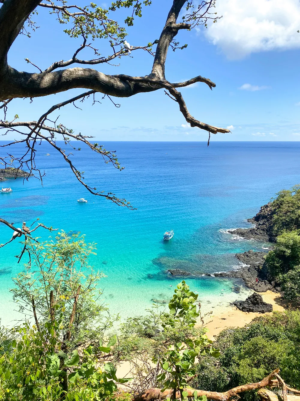 高清摄影 海滩上的风景，有一艘船在水上。