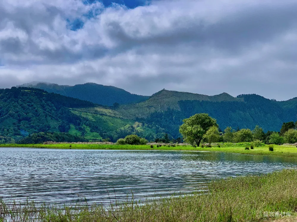 高清摄影 水边的草lush grass near body of water