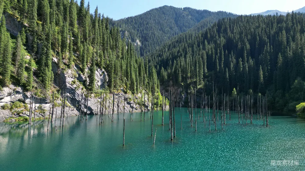高清摄影 一片被树木和山峦环绕的水域