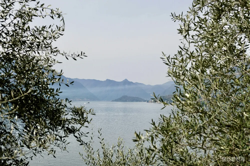 高清摄影 自然 旅行 环绕着树木和山丘的一片水域