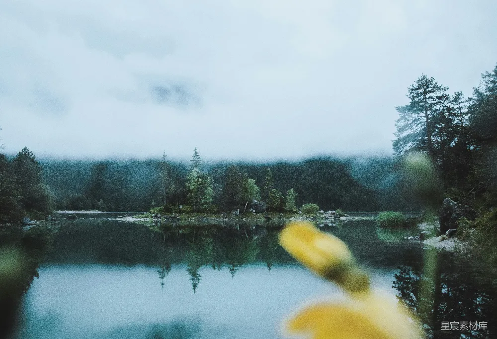 高清摄影 背景中有树木的一片水域的景象