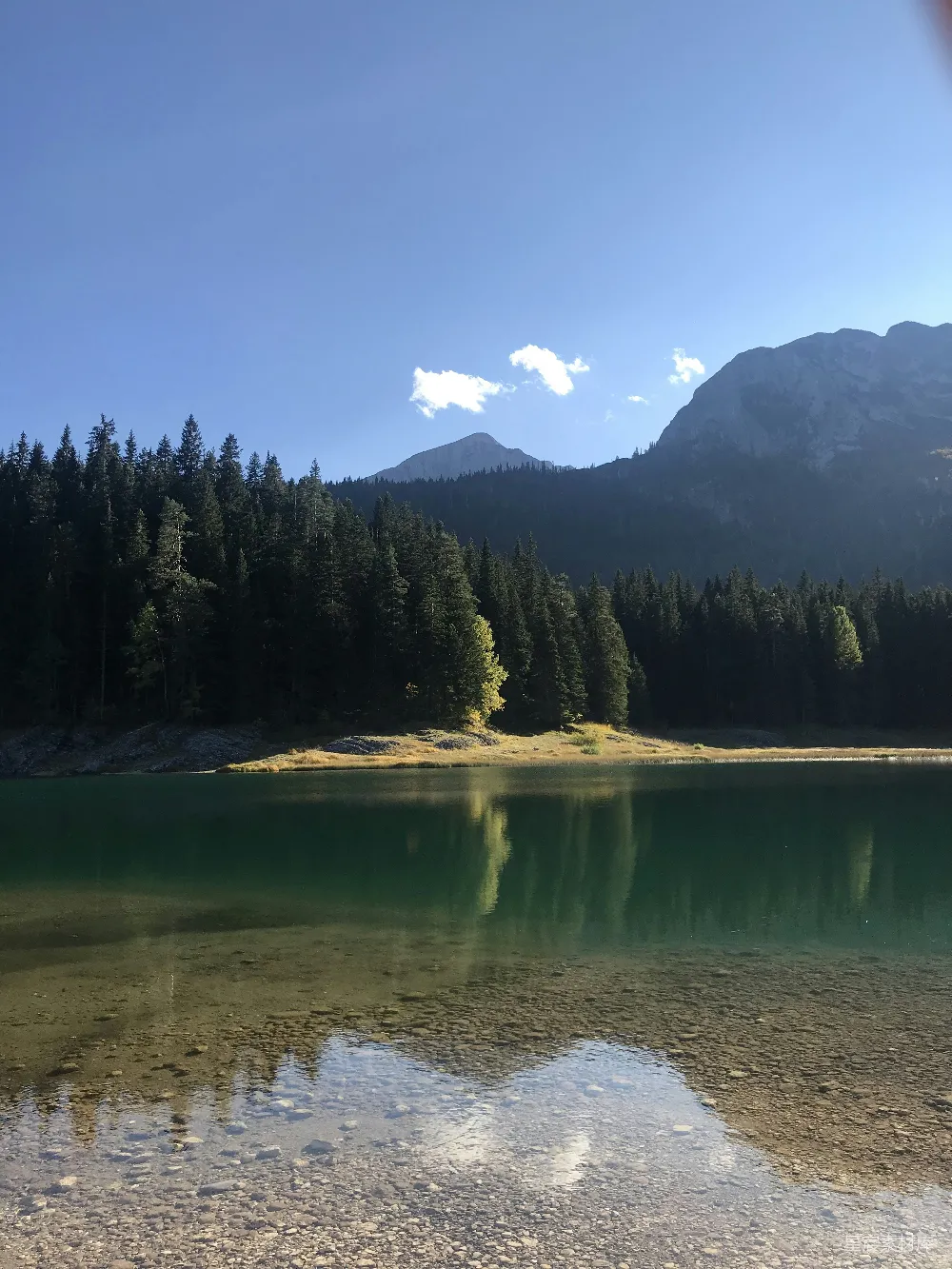 高清摄影  湖边绿树白天的景象