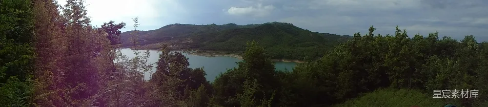 高清摄影 绿树