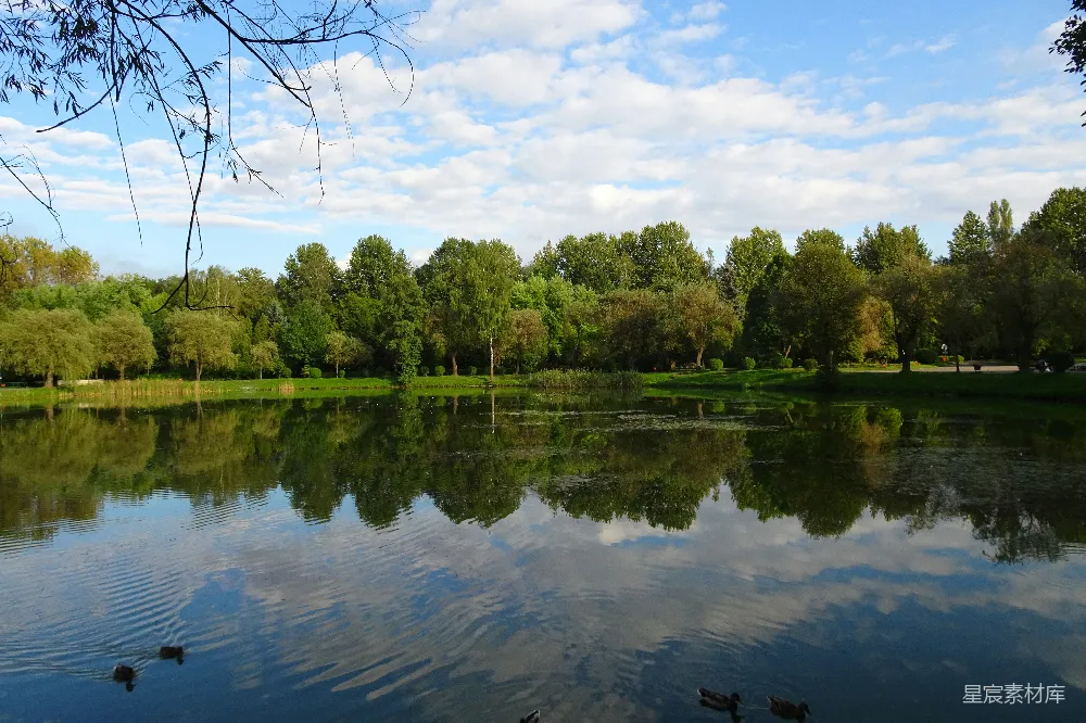 高清摄影 一片被树木和草环绕的水域