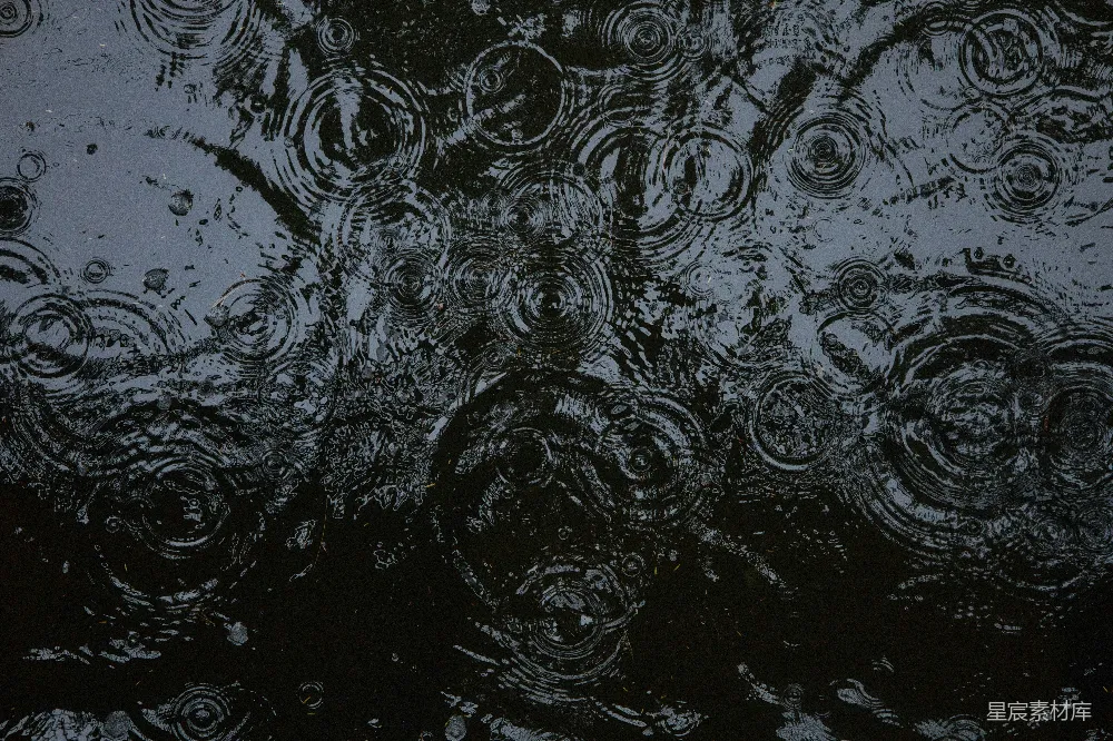 高清摄影 黑白照片中的雨滴