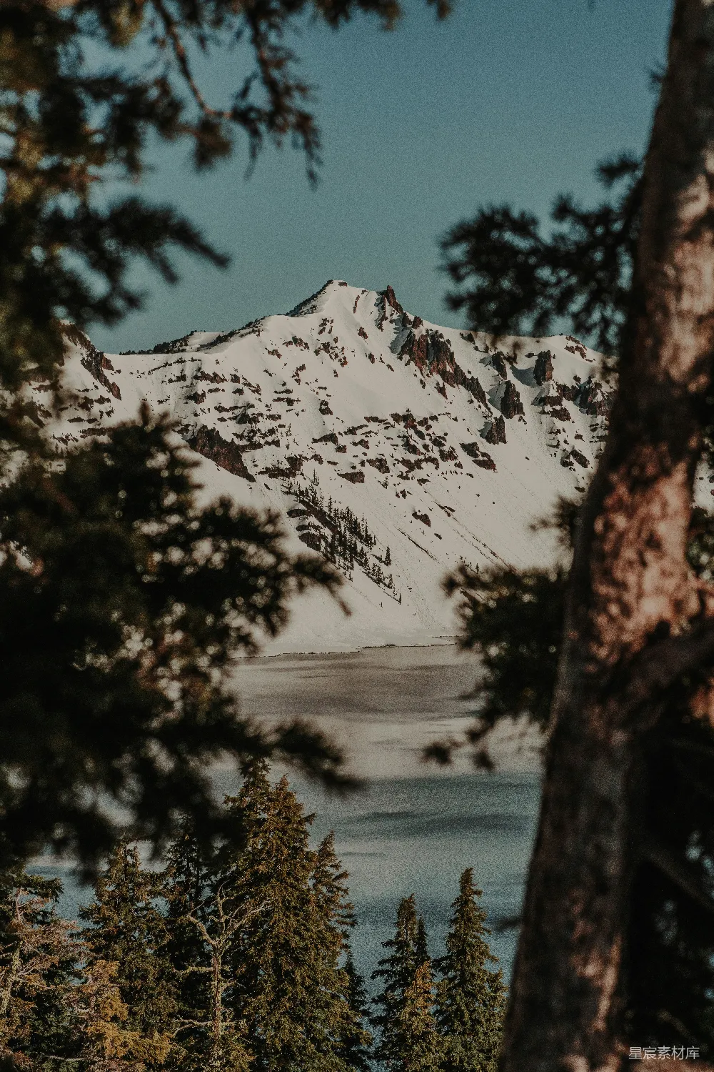 高清摄影 透过树木可以看到一片被白雪覆盖的山峦。