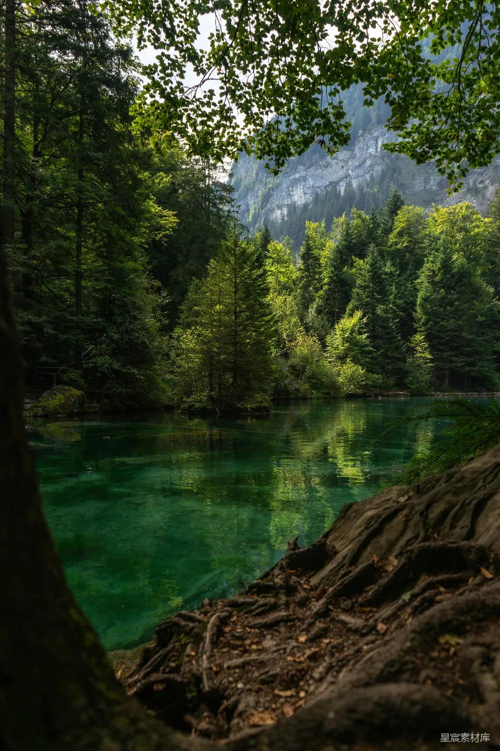 高清摄影 一个被森林环绕的湖泊，背景是山峦。