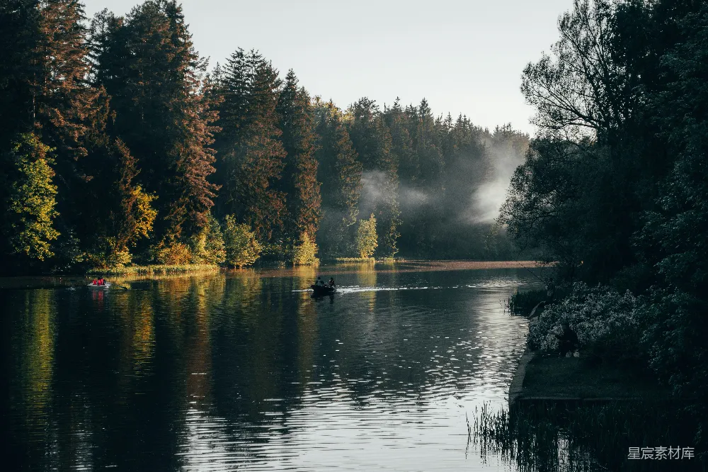 高清摄影 自然 白天河边绿树成荫