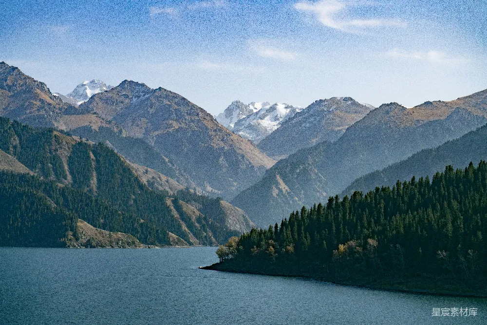 高清摄影 山坡上有树木靠近水流