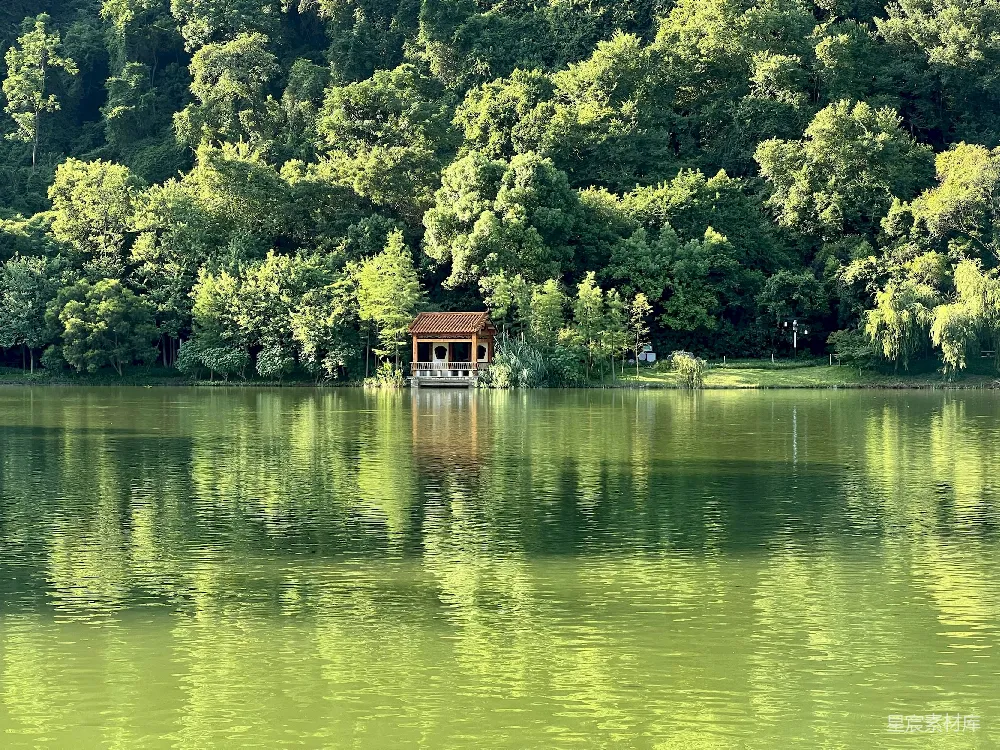 高清摄影 山坡上有一栋房子，靠近湖边，周围有树木。