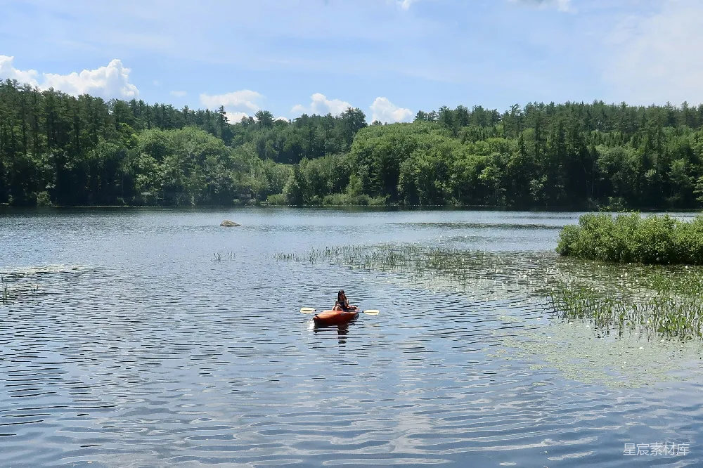 高清摄影 湖边环绕着树木的一位 kayaker
