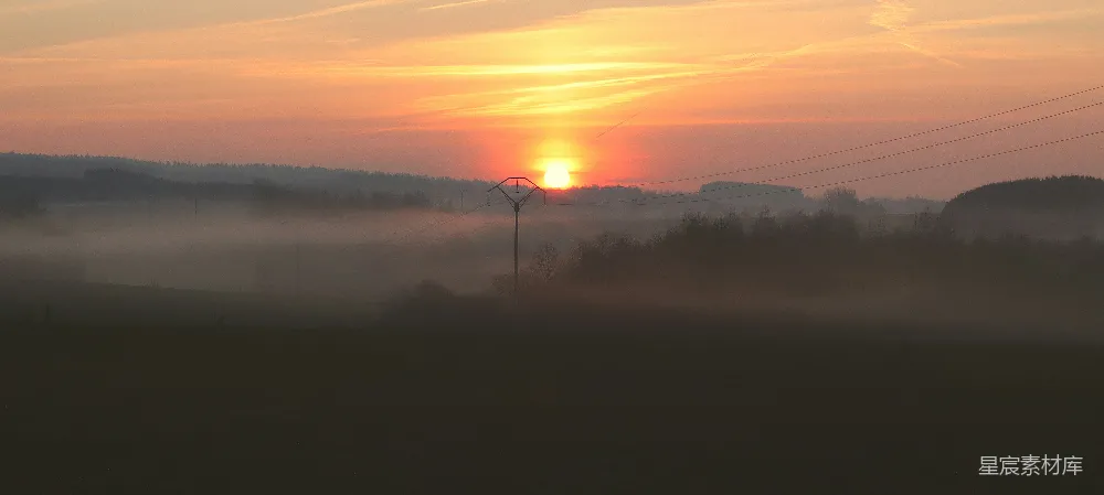 高清摄影  夕阳下的松树轮廓图象