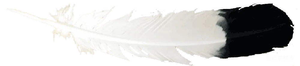 元素素材 羽毛