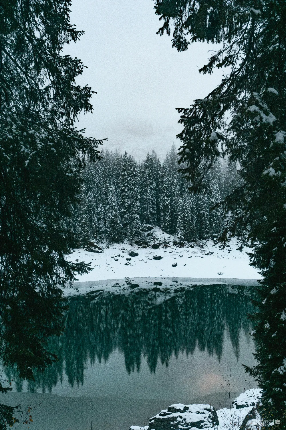 高清摄影 一片被雪覆盖的树木围绕着的湖泊森林中