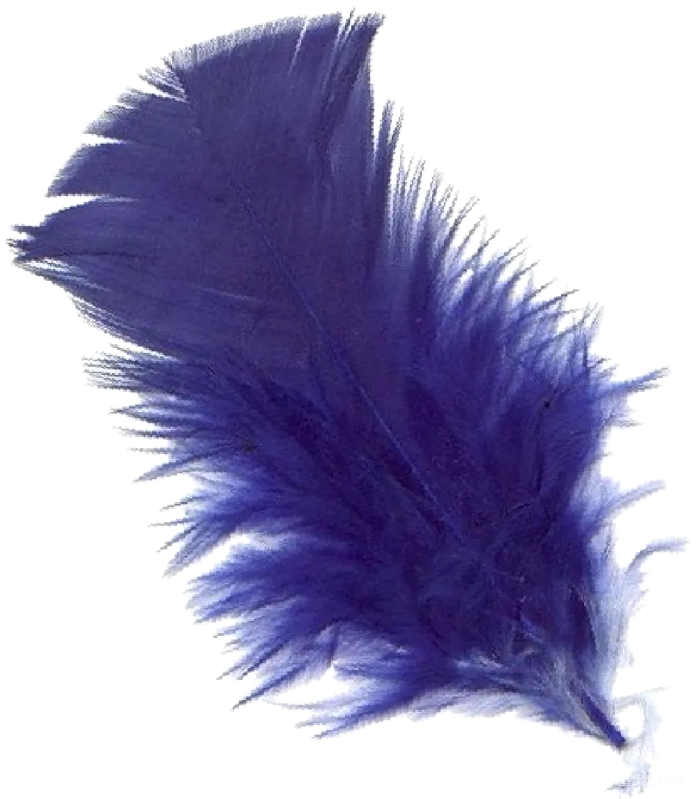元素素材 羽毛