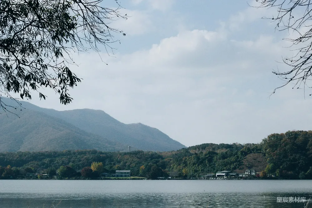 高清摄影 围绕在树木和山间的水域
