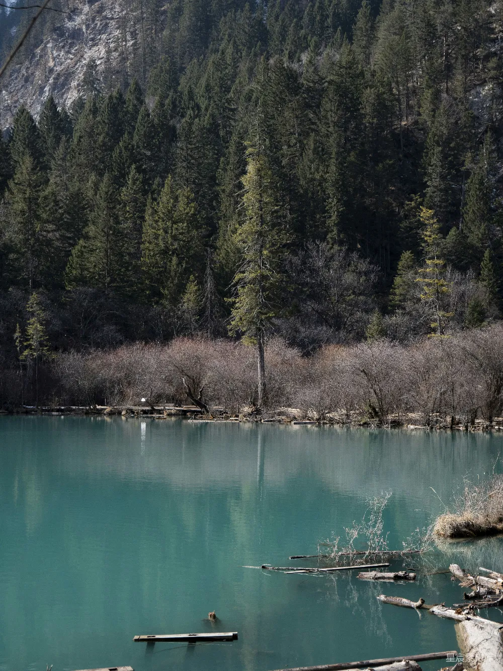 高清摄影 turquoise湖泊环绕着常绿森林和岩石山脉。