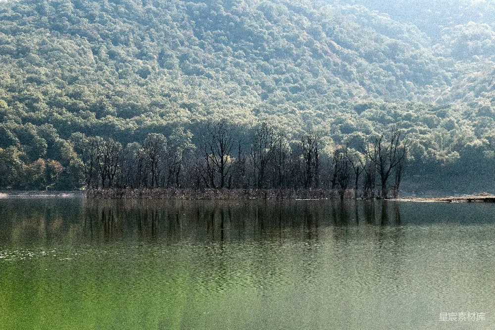高清摄影 背景有树木和山的水域