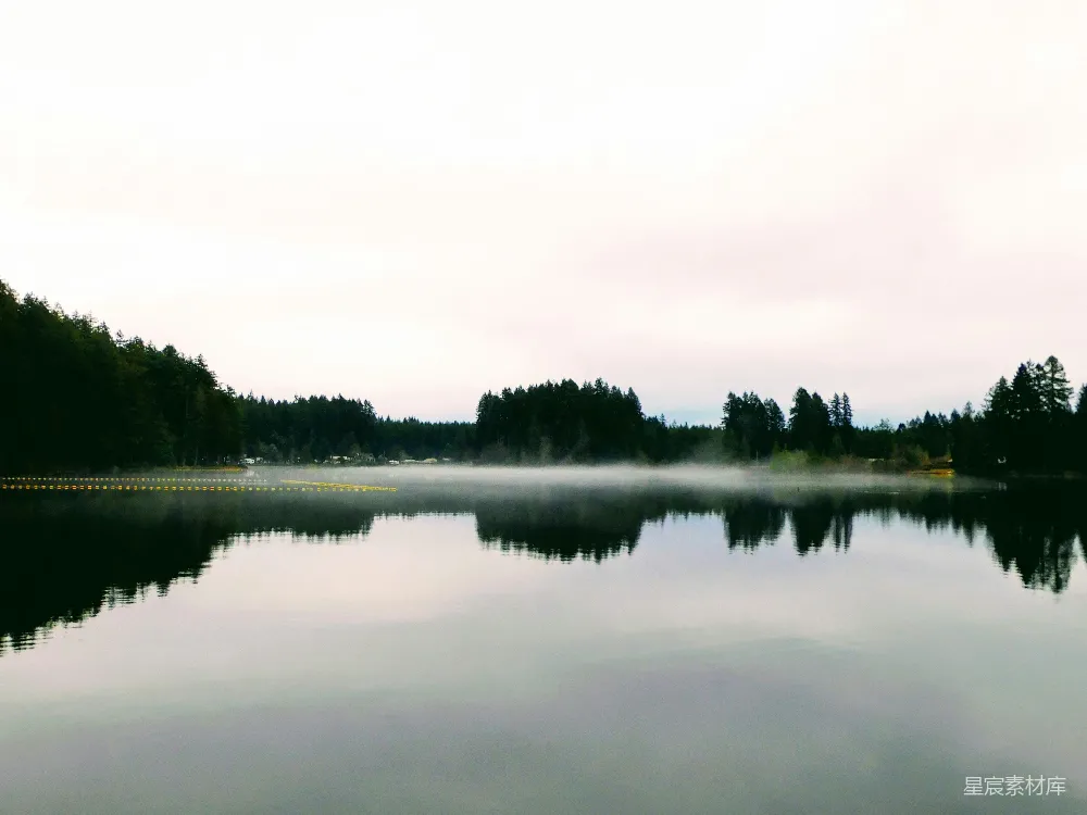 高清摄影 一棵树环绕的水体在阴天中的景象