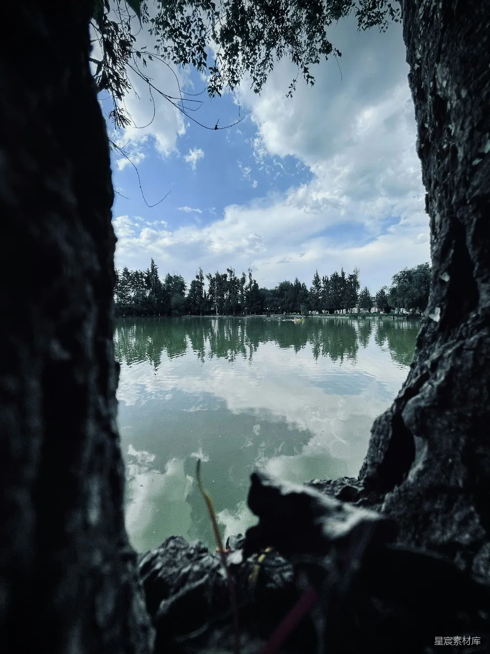 高清摄影 透过一棵树看去的湖景