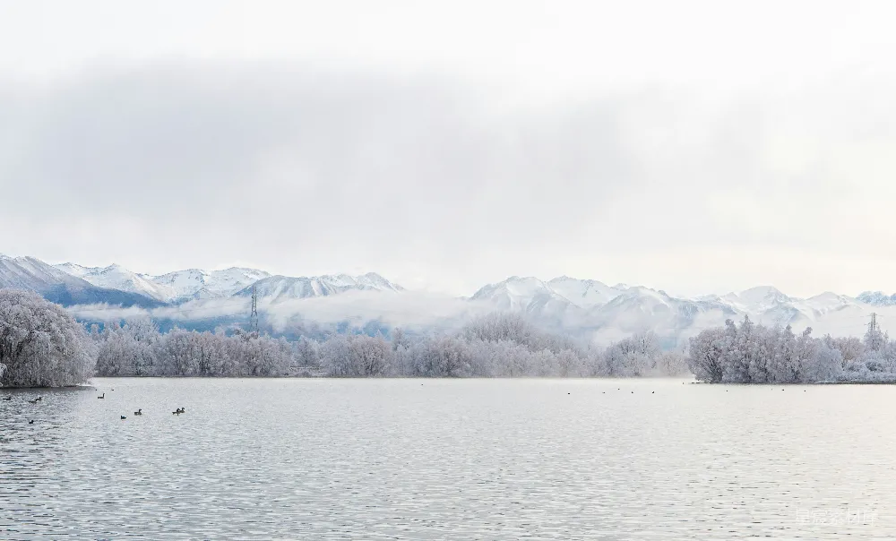 高清摄影 白天靠近被白雪覆盖的山体附近的水域