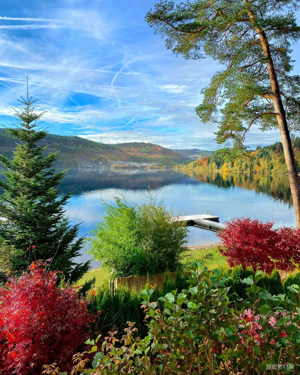 高清摄影 湖畔环绕着树木的美景