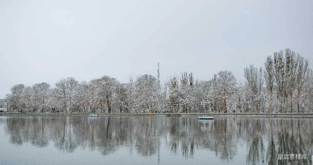 高清摄影 被树木覆盖着白雪环绕的水域