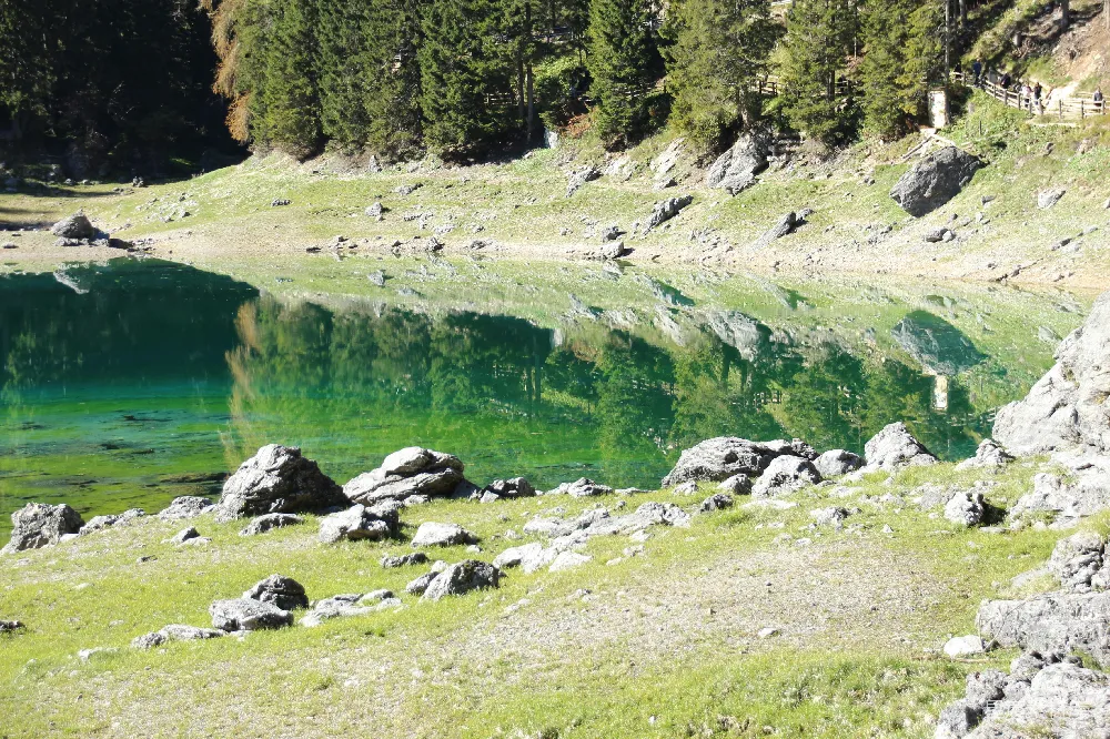 高清摄影  湖边白天近处的绿色草地