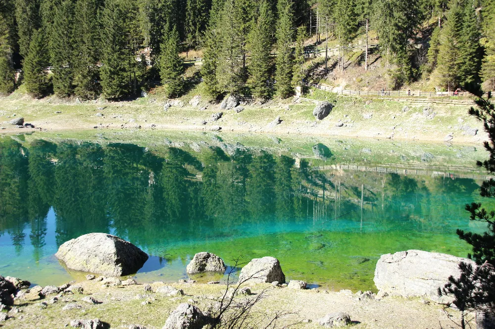 高清摄影 绿湖近绿树在白天