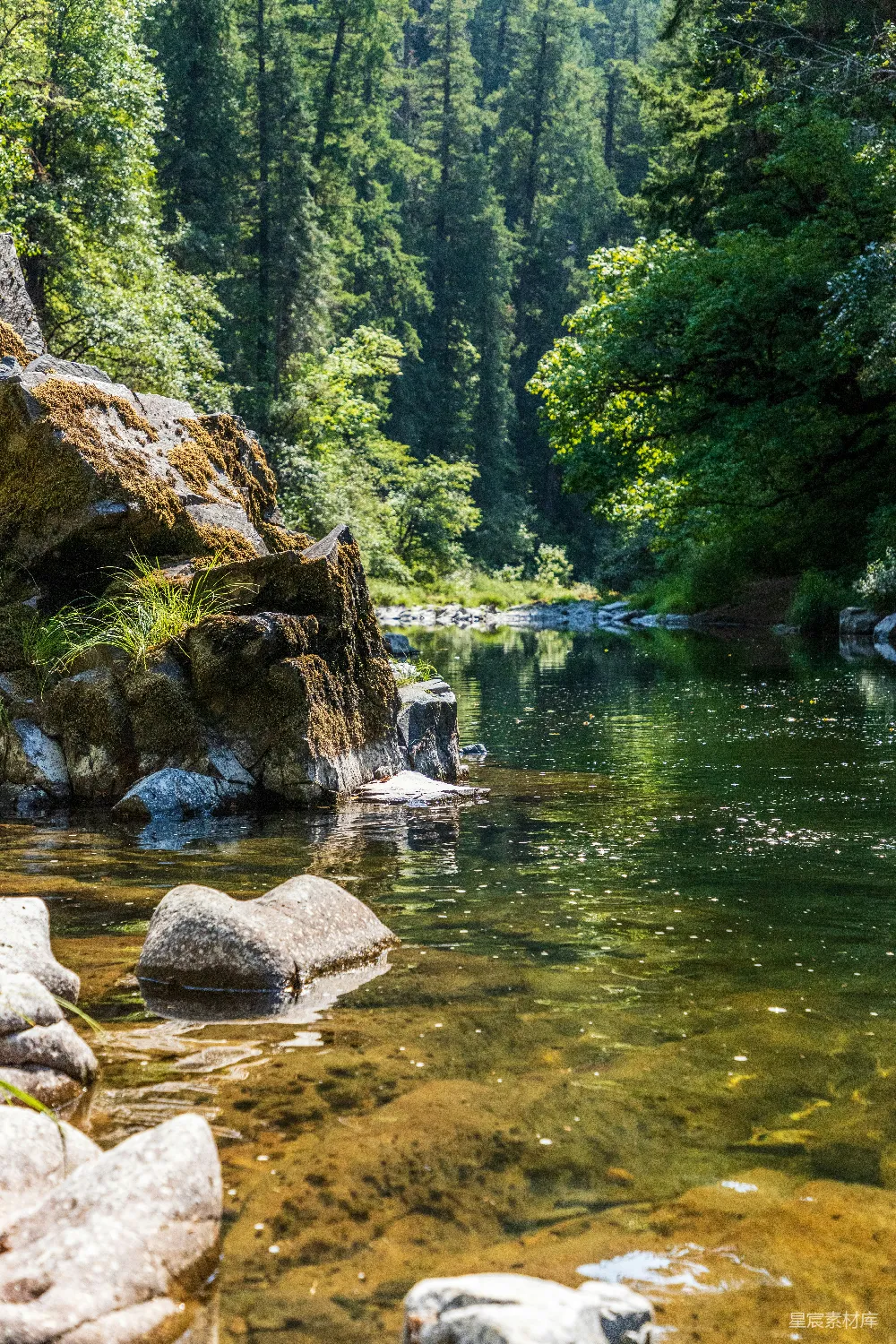 高清摄影 白天河边绿树成荫