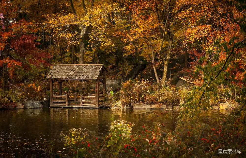 高清摄影 湖畔有小屋的花园