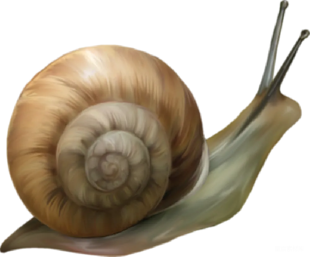 元素素材 蜗牛