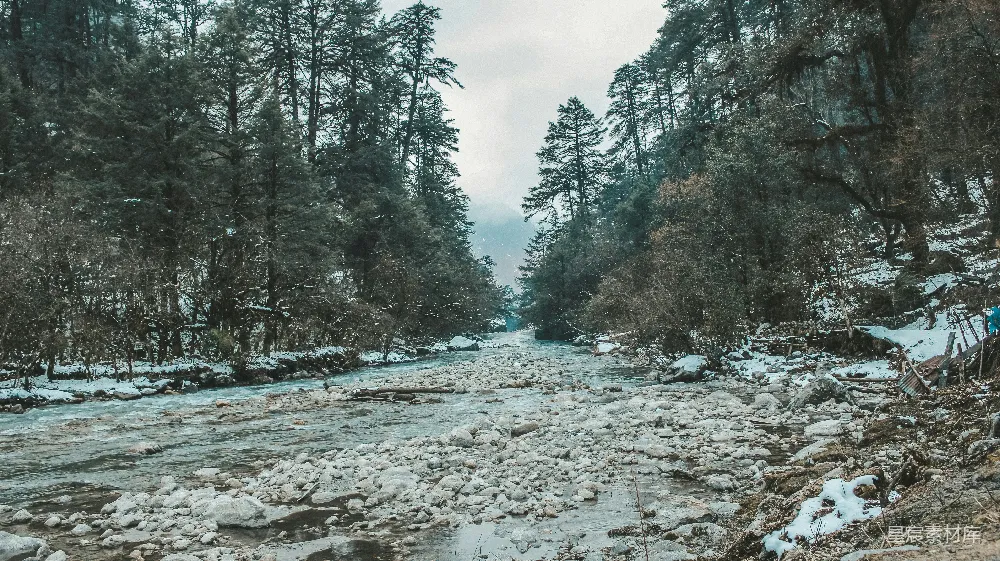 高清摄影 一条河流穿过满是积雪的森林