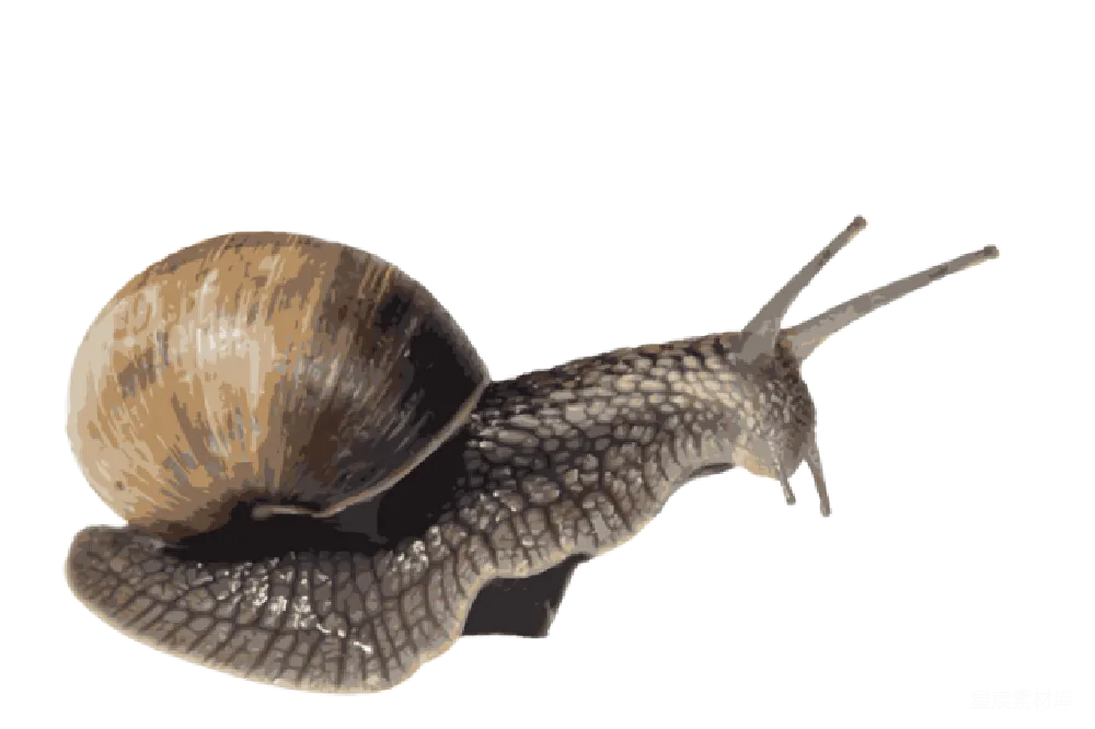 元素素材 PNG